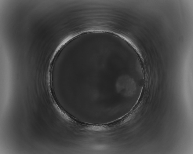 X0000086090998200704132121