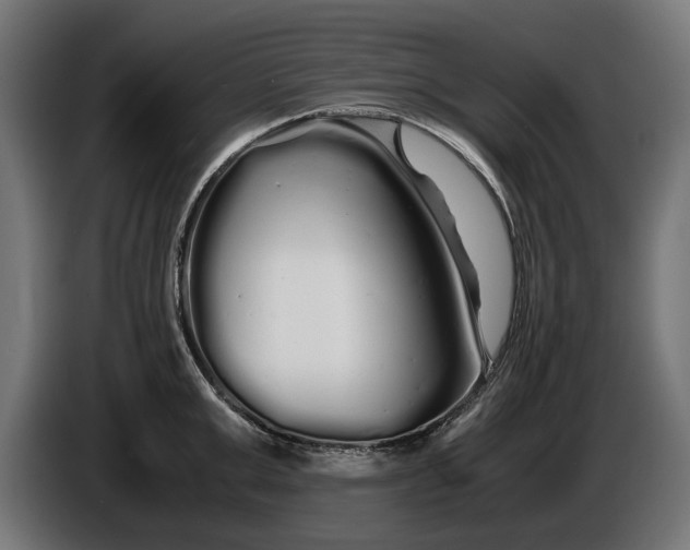 X0000086090999200704132121