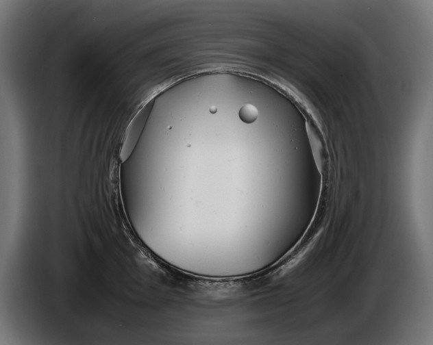 X0000086091001200704132121