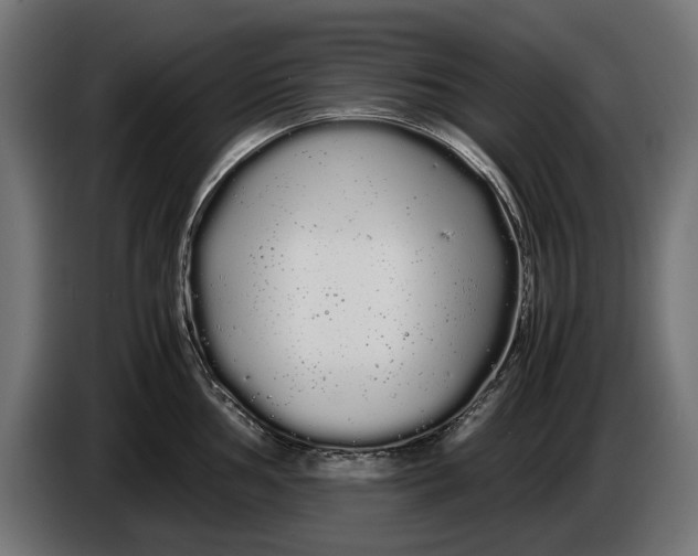 X0000086091002200704132121