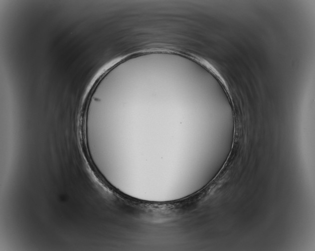 X0000086091003200704132121