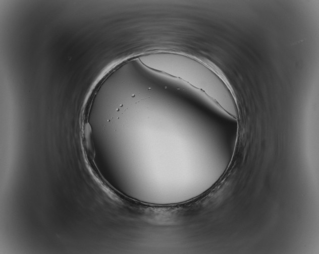 X0000086091005200704132121