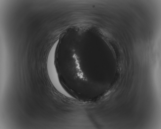 X0000086091010200704132120