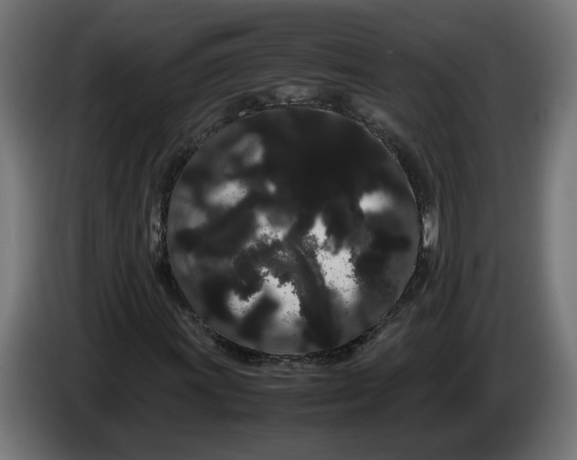 X0000086091011200704132120