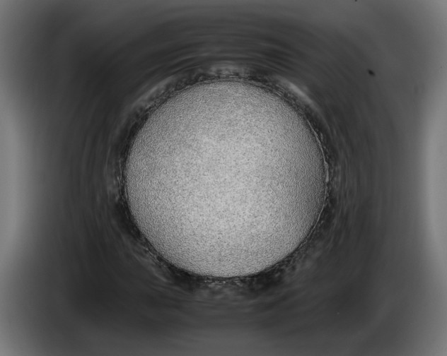 X0000086091015200704132120