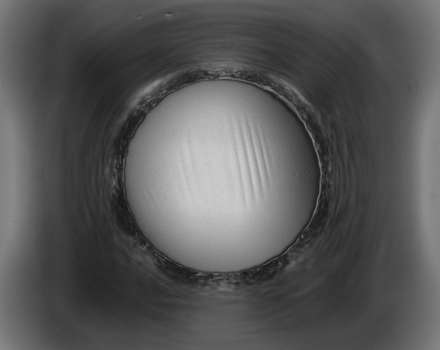 X0000086091016200704132120