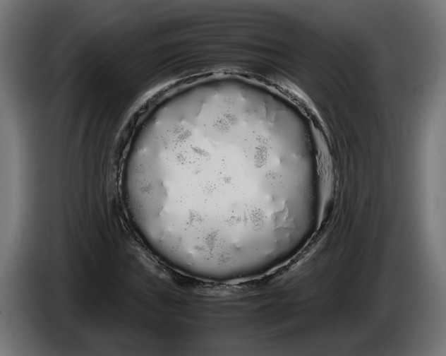 X0000086091019200704132121