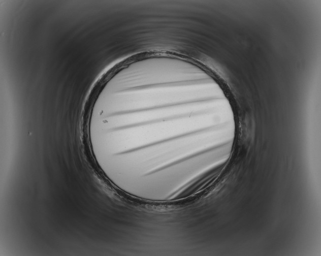 X0000086091020200704132121