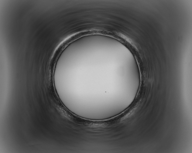 X0000086091021200704132121