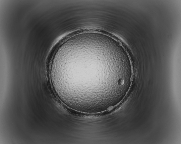 X0000086091022200704132121