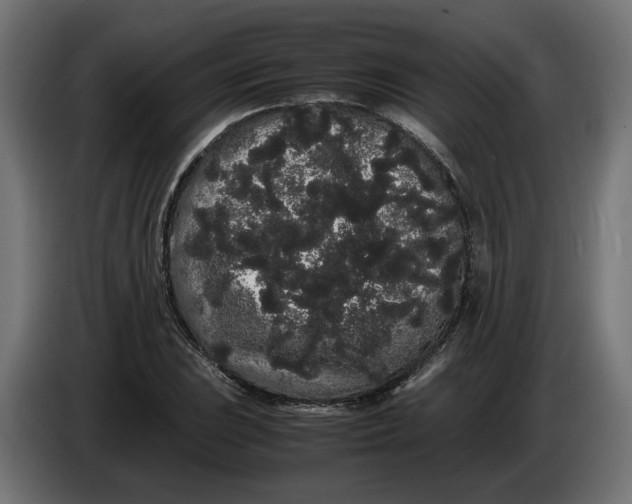 X0000086091023200704132121