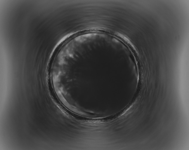 X0000086091024200704132121