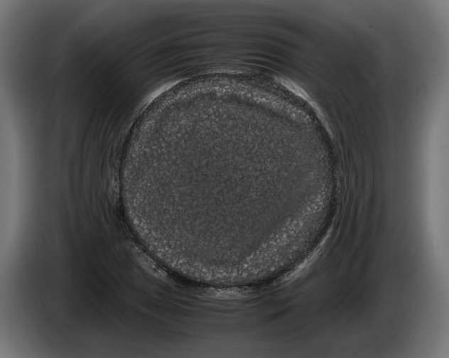 X0000086091025200704132121