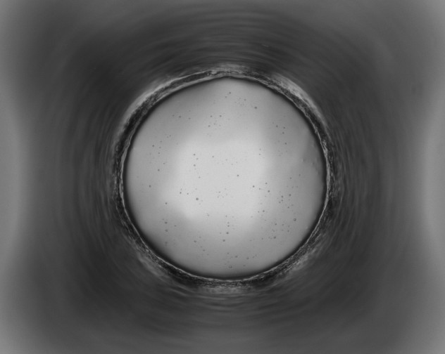 X0000086091027200704132121