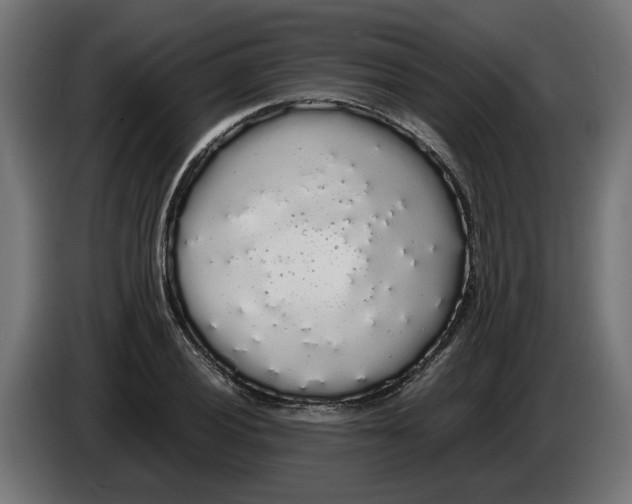 X0000086091028200704132121