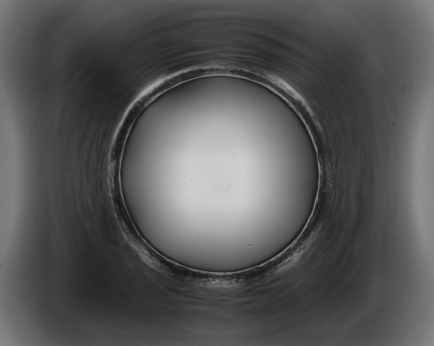 X0000086091029200704132121