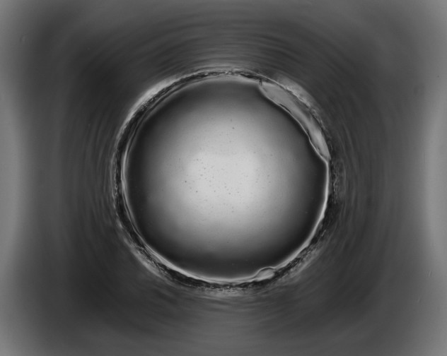 X0000086091030200704132121