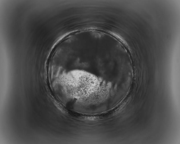 X0000086091031200704132121