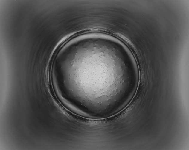 X0000086091032200704132121