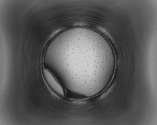 X0000086091033200704132121