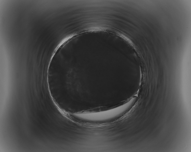 X0000086091034200704132121