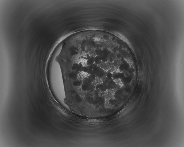 X0000086091035200704132121