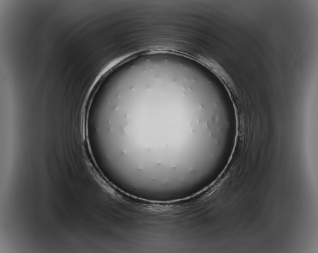 X0000086091036200704132121