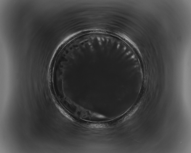 X0000086091037200704132121