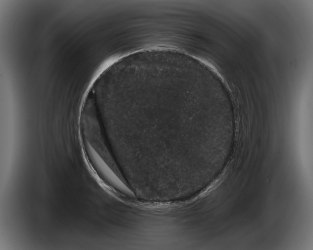 X0000086091038200704132121