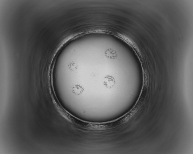 X0000086091039200704132121