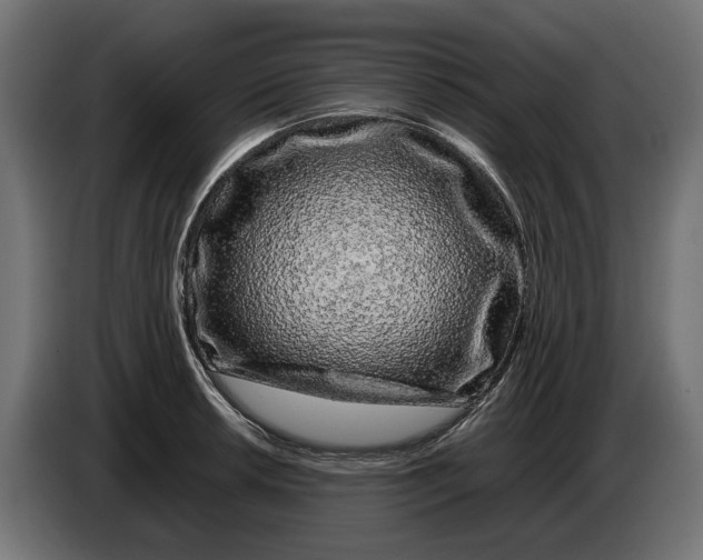 X0000086091042200704132121