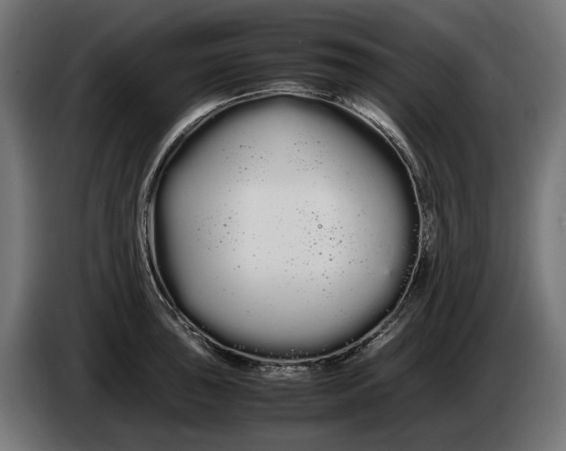 X0000086091043200704132121