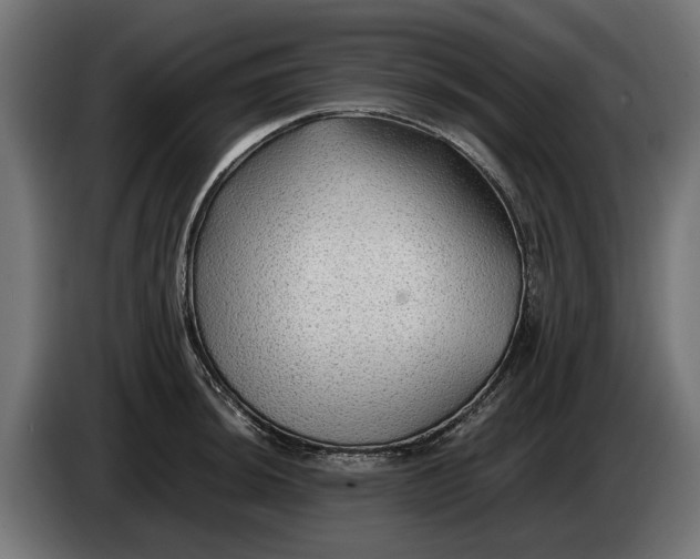 X0000086091044200704132121