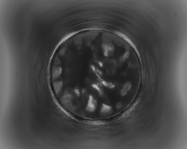 X0000086091045200704132121