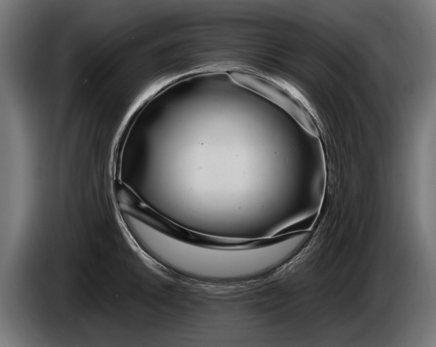 X0000086091046200704132121