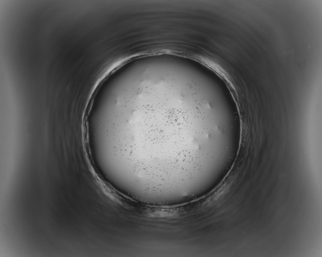 X0000086091047200704132121