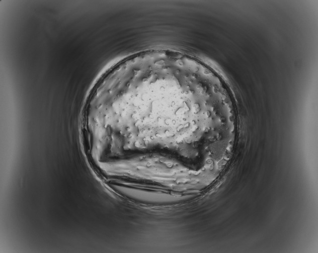 X0000086091048200704132121