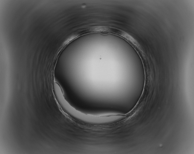 X0000086091049200704132121