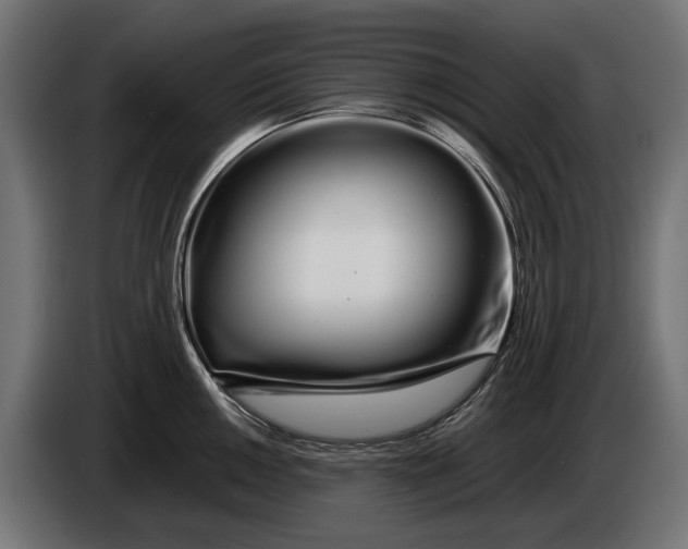 X0000086091050200704132121