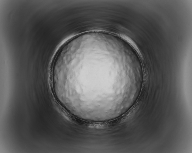 X0000086091051200704132121