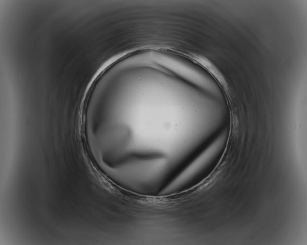 X0000086091052200704132121