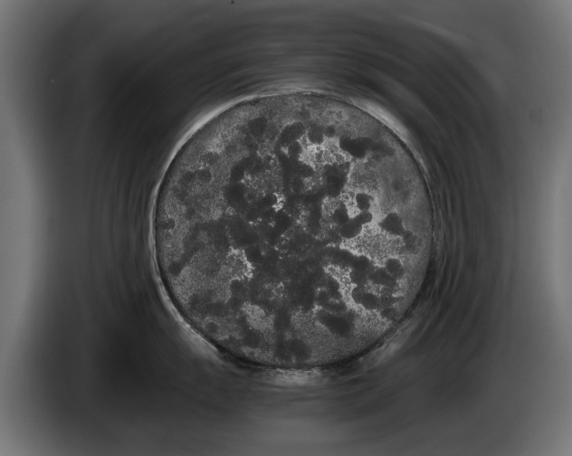 X0000086091055200704132121