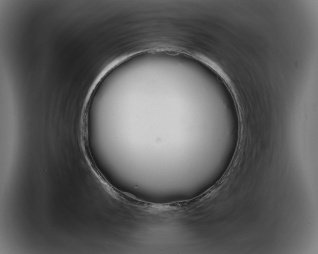 X0000086091056200704132121