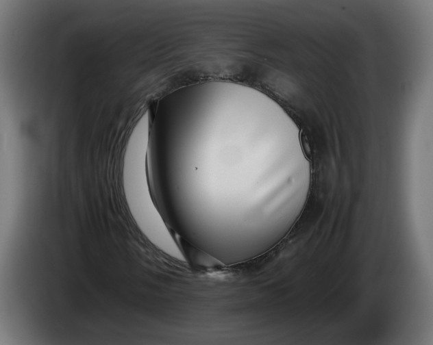 X0000086091058200704132120