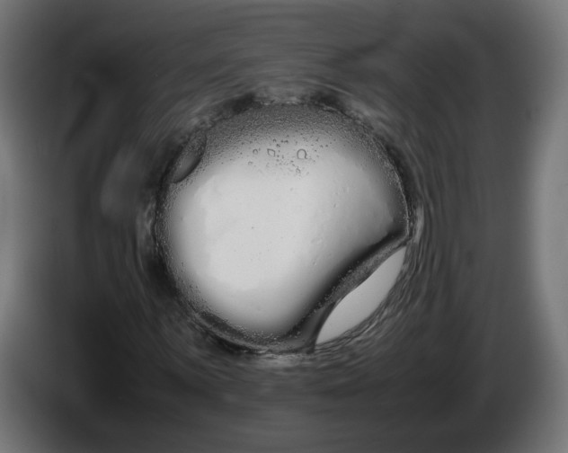 X0000086091059200704132120