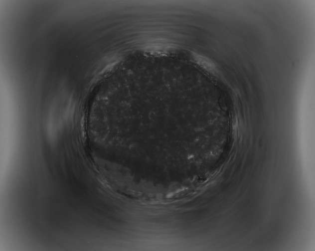 X0000086091060200704132120