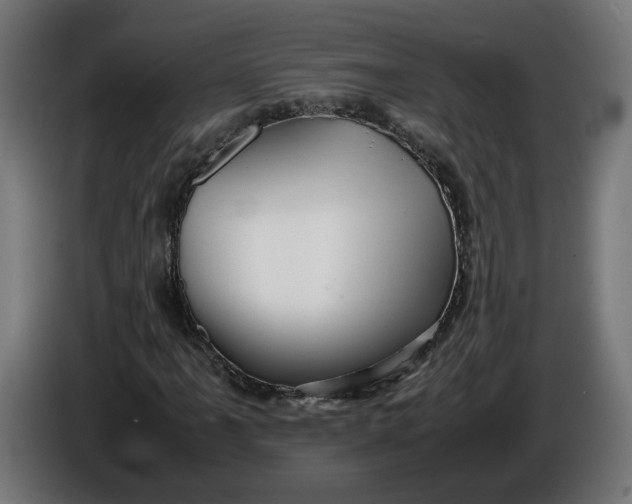 X0000086091061200704132120