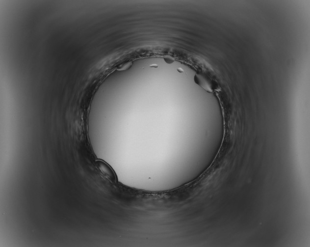 X0000086091062200704132120