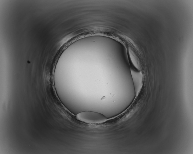 X0000086091065200704132120