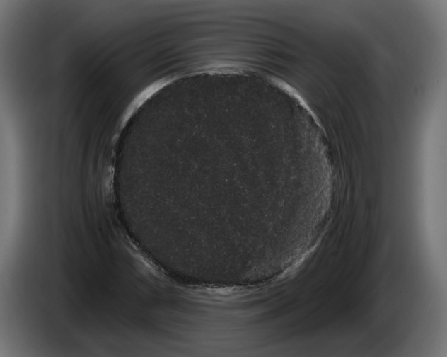 X0000086091066200704132120